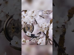 Lily Rose Osmanthus Dentifrice blanchissant les dents dans un emballage en papier blanc de 400 g