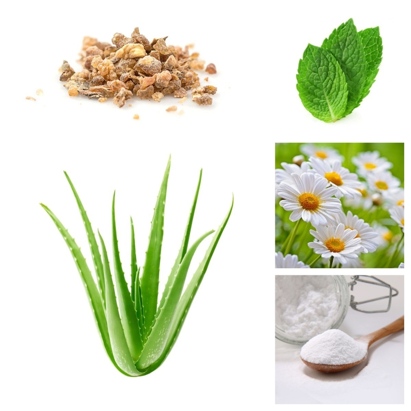 L'usine naturelle de Vera Teeth Whitening Baking Soda de soin d'aloès oral organique de pâte dentifrice extrait Sls libre