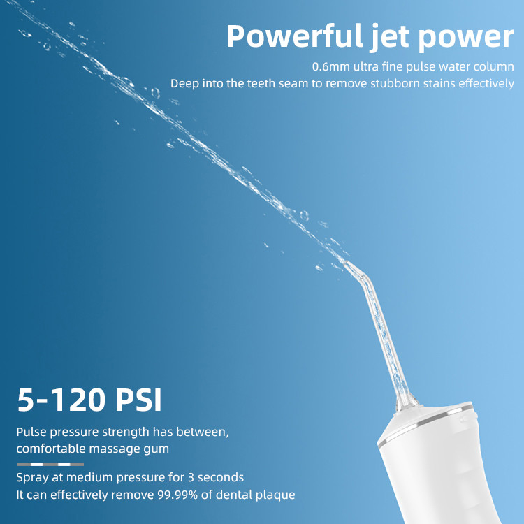 L'eau professionnelle Flosser d'Irrigator de soins dentaires de solvant de plaque dentaire de la maison IPX7 et du voyage