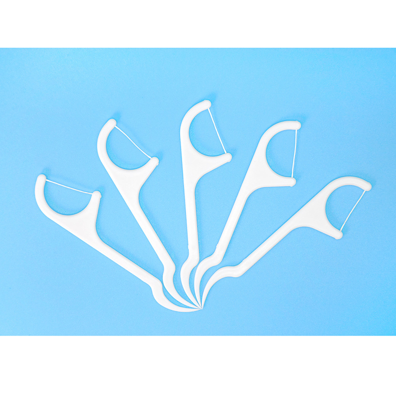 Prix d'usine Soins bucco-dentaires Eco-friendly Avancé Nettoyer le cure-dents Dental Flosser Choisir Pour la maison Voyage Utilisation hôtelière