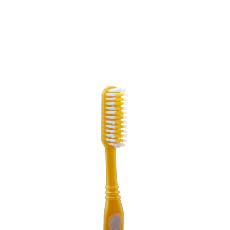 Vente en gros personnalisée pour adultes Voyage à domicile Hôtel en plastique brosse à dents douce à usage domestique en carton à ampoules