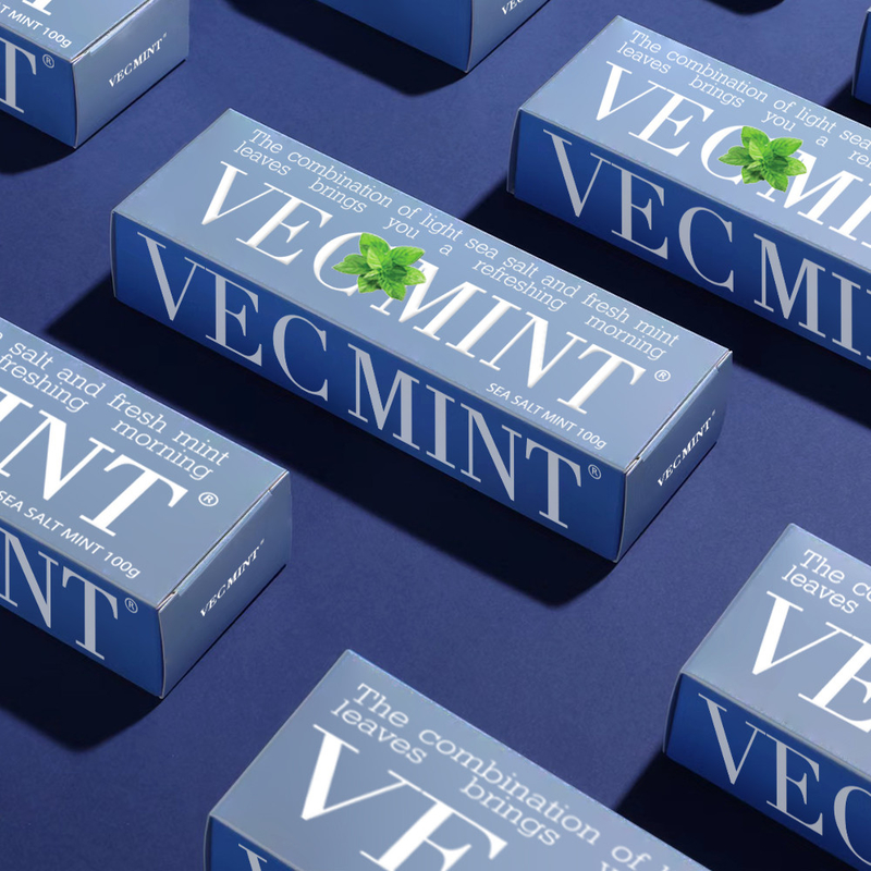 VECMINT Sel de mer et dentifrice fraîche à la menthe - Laisse ta bouche rafraîchie 100g usine de gros