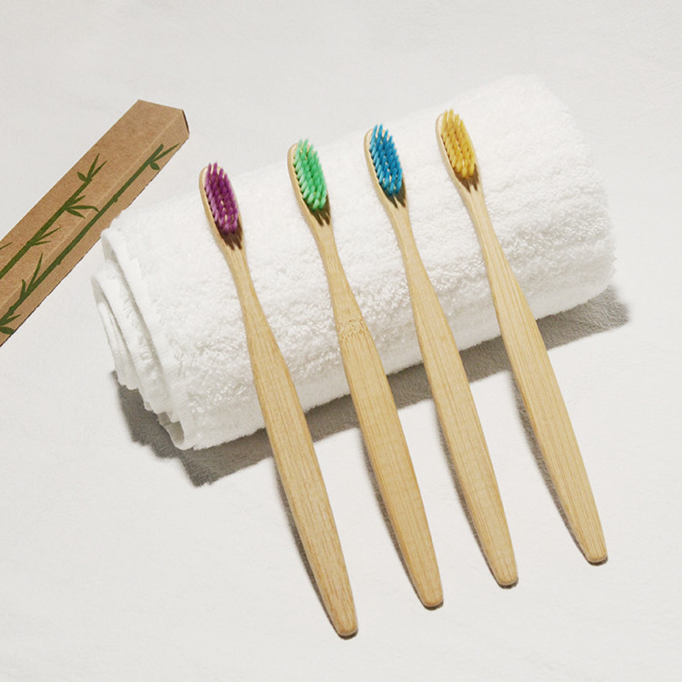OEM libre de plastique de soin de charbon de bois de vert en bambou coloré oral de brosse à dents