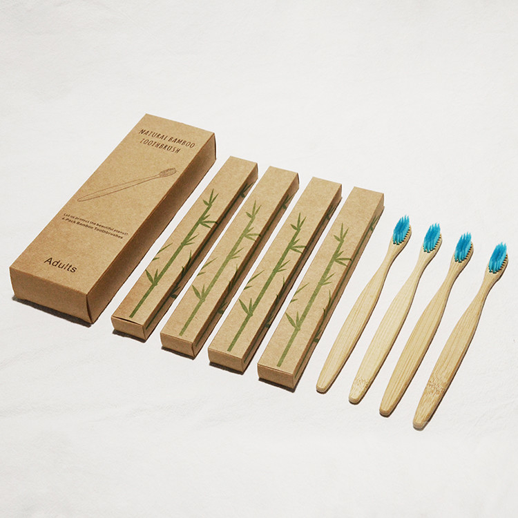 OEM libre de plastique de soin de charbon de bois de vert en bambou coloré oral de brosse à dents