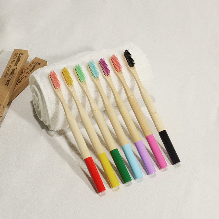 Couleur mélangée de soin d'adultes de vegan de brosse à dents en bambou orale de charbon de bois