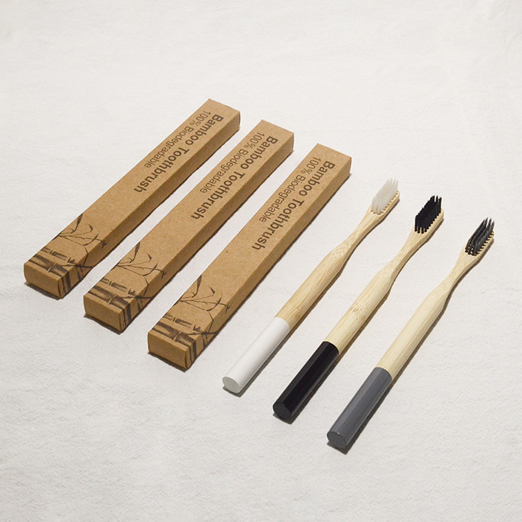 Couleur mélangée de soin d'adultes de vegan de brosse à dents en bambou orale de charbon de bois