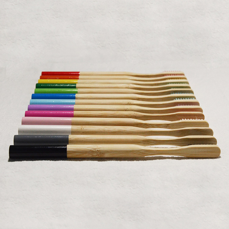 Couleur mélangée de soin d'adultes de vegan de brosse à dents en bambou orale de charbon de bois